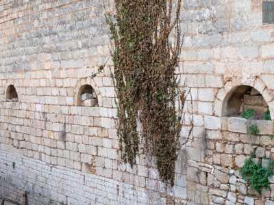 Presenta delle fessure ad arco...